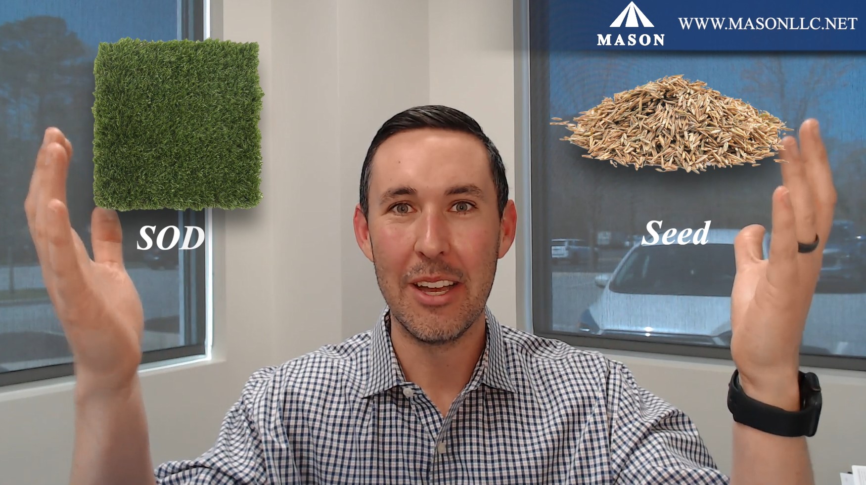 Seed vs. Sod (Do-it-yourself or hire a professional)